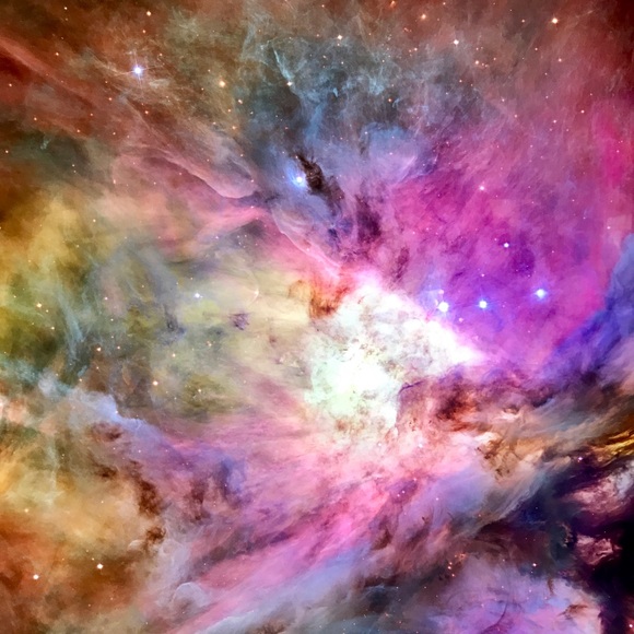 Meet your Posher, Katharine - Picture 1 of 1